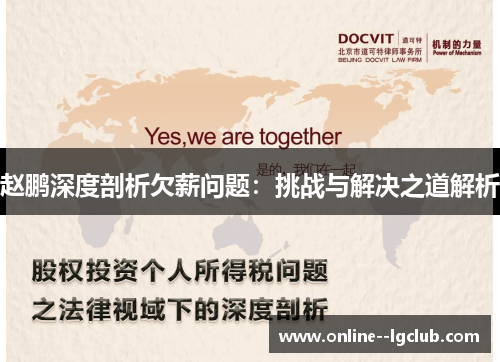 赵鹏深度剖析欠薪问题：挑战与解决之道解析