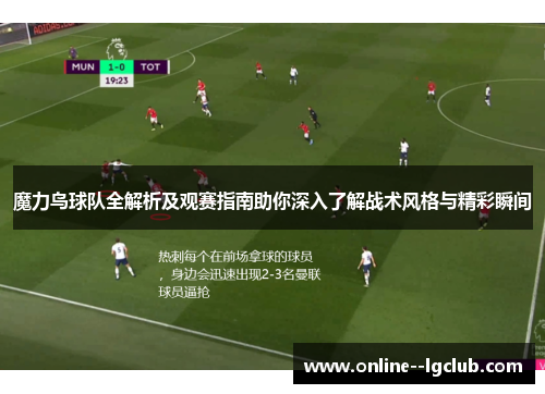 魔力鸟球队全解析及观赛指南助你深入了解战术风格与精彩瞬间